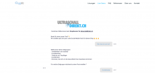 der chatbot, um social media texte für onlineshops zu generieren, fragt nach zielgruppe und aktion